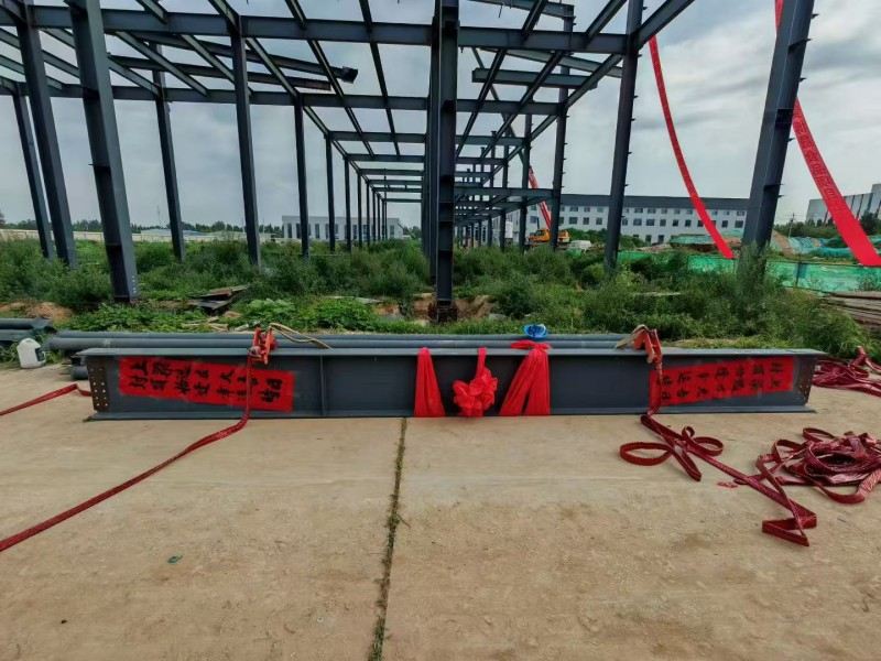 Yongcheng Singye Steel Struction Company Accelerated Construction of Food Workshop Hebei Bosheng